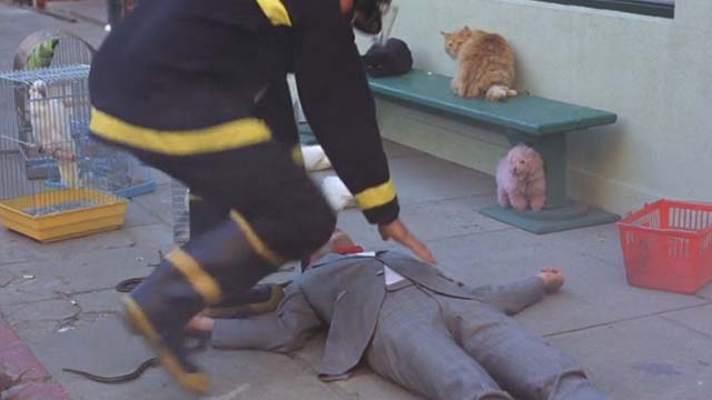 Pee Wee's Big Adventure - cats on bench outside burning pet shop as fireman approaches fainted Pee-Wee Herman