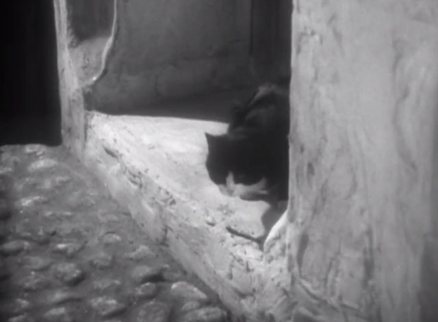 Peg of Old Drury - black and white cat in doorway
