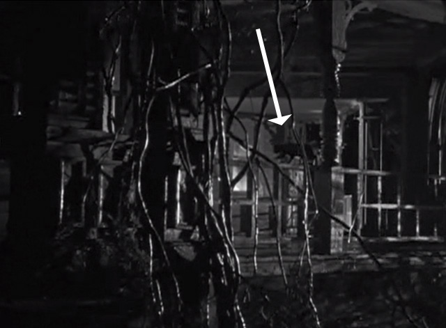 Pennies from Heaven - black cat on railing outside old house