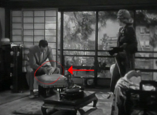 Penny Serenade kitten