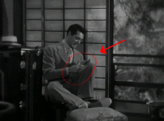 Penny Serenade kitten closer