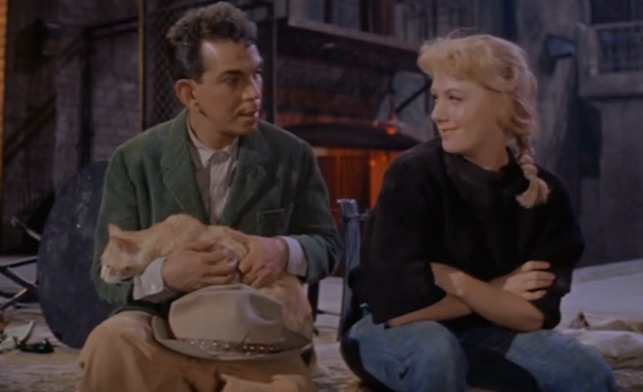 Pepe - Orangey tom cat in Cantinflas' arms with Shirley Jones