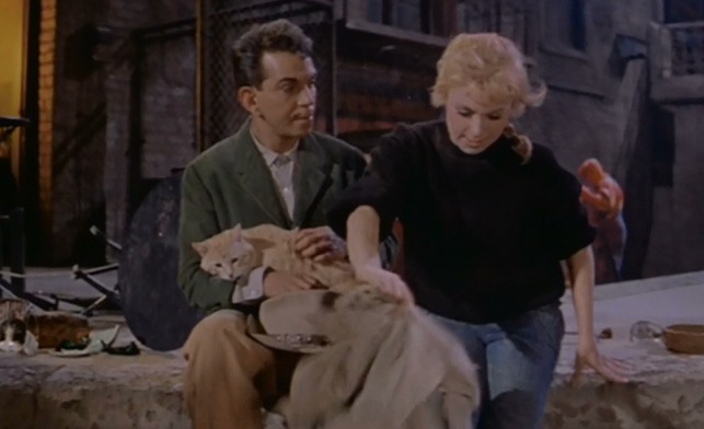 Pepe - Orangey tom cat in Cantinflas' arms as Shirley Jones gets up