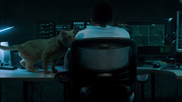 The Perfect Guy - orange tabby cat Rusty with Carter Michael Ealy