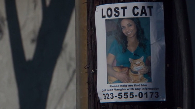The Perfect Guy - orange tabby cat Rusty and Leah Sanaa Lathan on Lost Cat poster