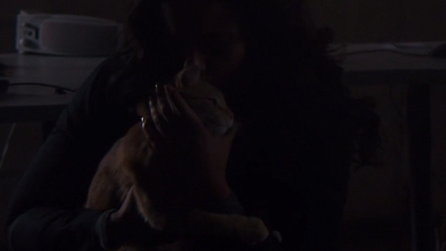 The Perfect Guy - orange tabby cat Rusty held by Leah Sanaa Lathan