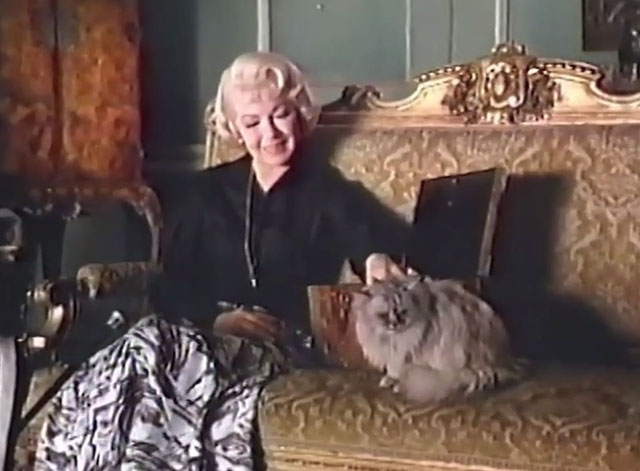 Persecution - Carrie Lana Turner sitting on couch with silver Persian cat Sheba