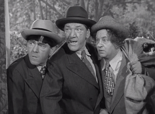 Pest Man Wins - Three Stooges Moe Shemp Larry with cat in bag outside window
