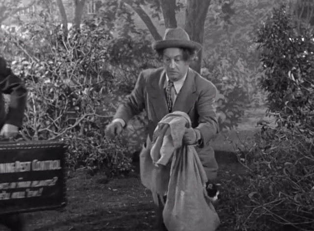 Pest Man Wins - Three Stooges Larry with cat in bag