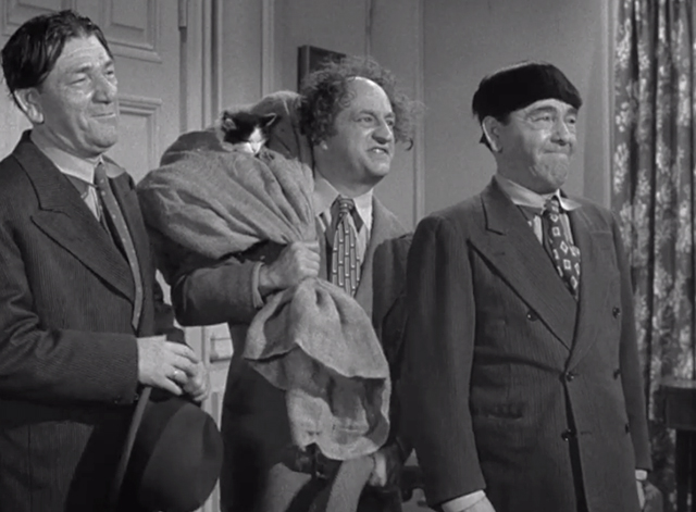 Pest Man Wins - Three Stooges Moe Shemp Larry with cat in bag