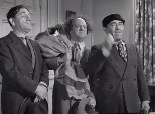 Pest Man Wins - Three Stooges Moe Shemp Larry with cat in bag