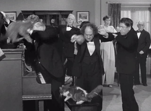 Pest Man Wins - Three Stooges Moe Shemp Larry with cat flying out of piano