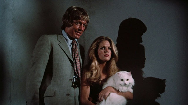 Pets - Bonnie Candice Rialson carrying white Angora cat Lila as she walks down the stairs with Stackman Ed Bishop