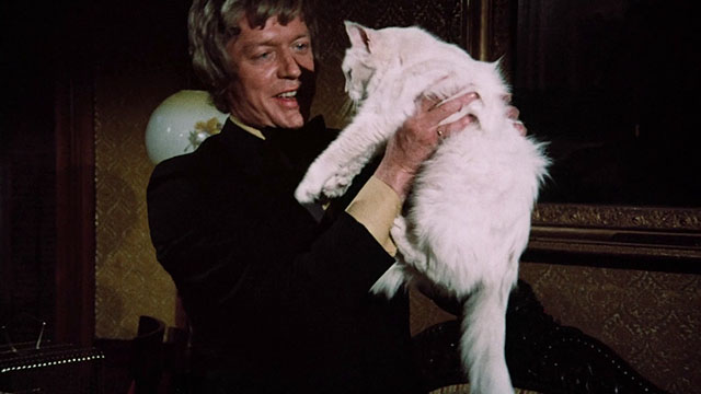 Pets - white Angora cat Lila being held by Stackman Ed Bishop
