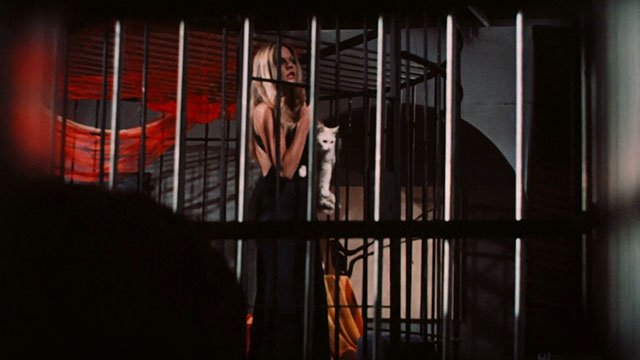 Pets - Bonnie Candice Rialson holding white Angora cat Lila inside cage