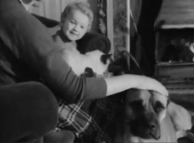 Pets Adopt Humans - Siamese cat sitting on chair with woman, little boy and dog