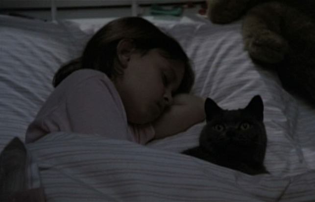 Pet Sematary cat Church in bed with Ellie