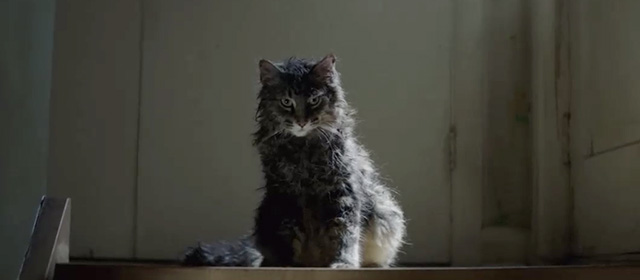 Pet Sematary - Maine Coon cat Church on top of stairs