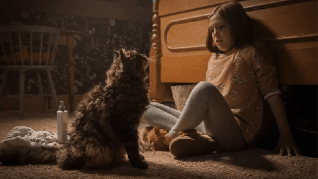 Pet Sematary - Maine Coon cat actor Leo Church looking at Ellie Jeté Laurence