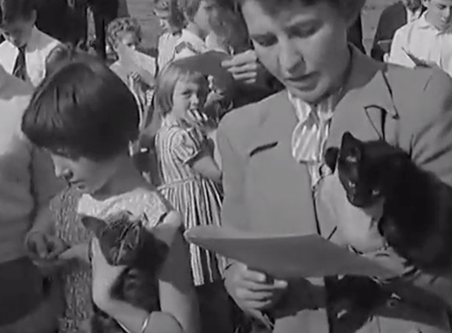 Pet's Service - little girl holding tabby kitten and woman holding black cat at open air religious service
