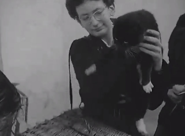 Pets Steal the Picture - woman holding tuxedo cat