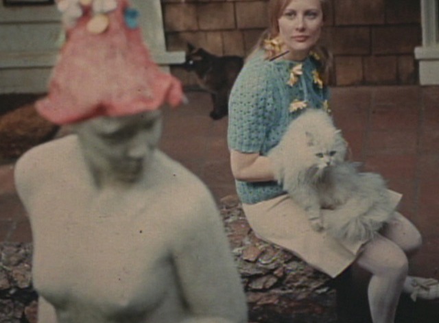 Petulia - white Persian cat being held by Polo