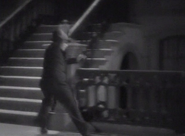 Picture Snatcher - black and white cat behind railings