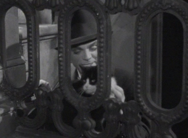 Picture Snatcher - Danny pets black and white cat behind railings