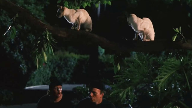 Ping! - two blue point Siamese cats on tree branch above Stu Clint Howard and Louie Judge Reinhold