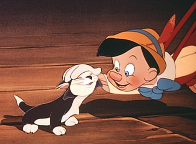 Pinocchio - Figaro kitten being petted by Pinocchio