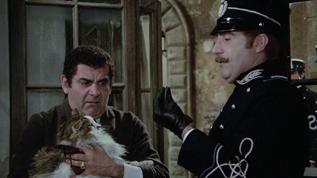 Er più: storia d'amore e di coltello - The Chinese Vittorio Caprioli holding longhair tabby and white cat scared of Marshall Romolo Valli