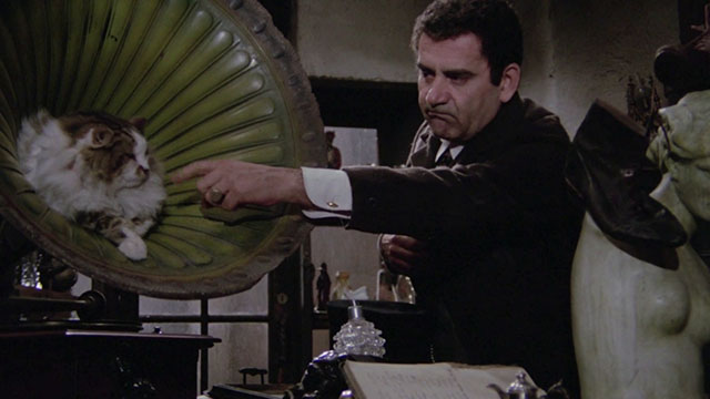 Er più: storia d'amore e di coltello - The Chinese Vittorio Caprioli pointing finger at longhair tabby and white cat sitting in gramophone horn