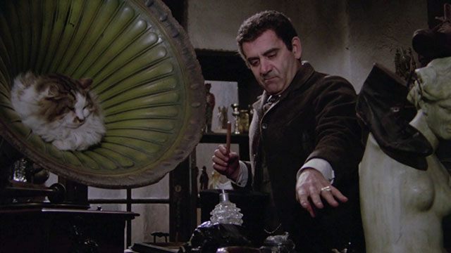 Er più: storia d'amore e di coltello - The Chinese Vittorio Caprioli with longhair tabby and white cat sitting in gramophone horn