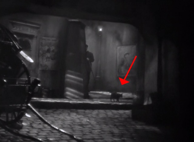 Le Plaisir - cat running down street briefly