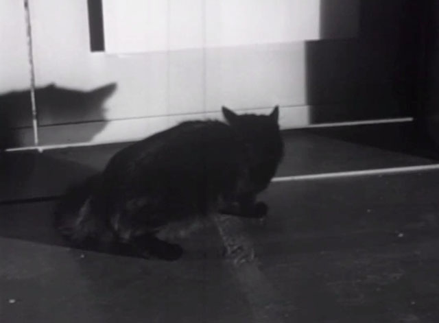 Please Murder Me - black cat outside door