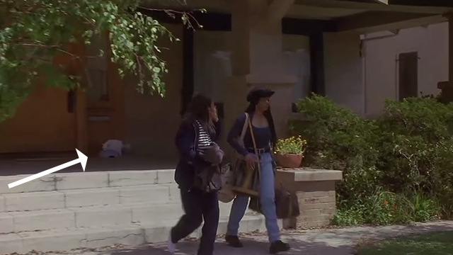 Poetic Justice - Justice Janet Jackson and Iesha Regina King walking away from house with long-haired white cat White Boy eating on porch in background