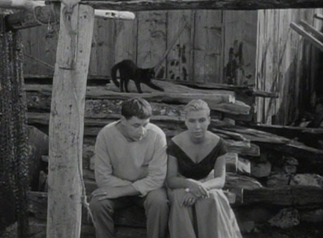 La Pointe Courte - black cat on woodpile