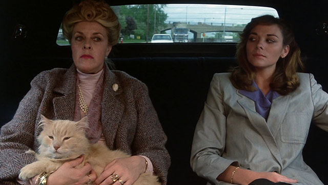 Police Academy - Karen Kim Cattrall and mother Joyce Gordon riding in car with longhair cream tabby cat