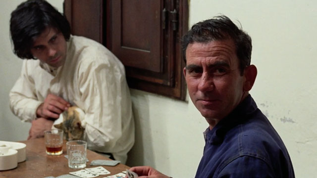 The Police Are Blundering in the Dark - La polizia brancola nel buio - man holding calico tabby cat in bar