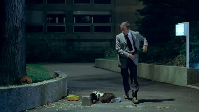 Police Python 357 - Marc Ferrot Yves Montand passing group of feral cats eating from dishes outside building
