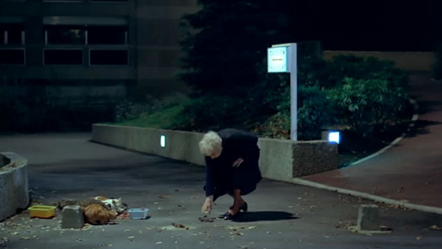 Police Python 357 - old woman Gabrielle Doulcet picking up glove near group of feral cats eating from dishes outside building