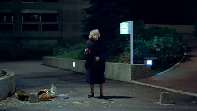 Police Python 357 - old woman Gabrielle Doulcet standing near group of feral cats eating from dishes outside building