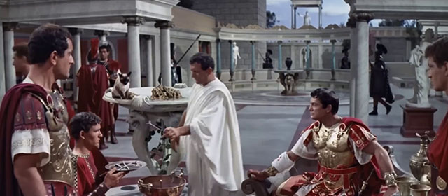 Ponzio Pilato - Pontius Pilate - Siamese kitten on fountain behind Jean Marais