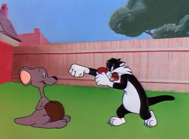 Pop 'im Pop - Hippety Hopper and Sylvester cat boxing