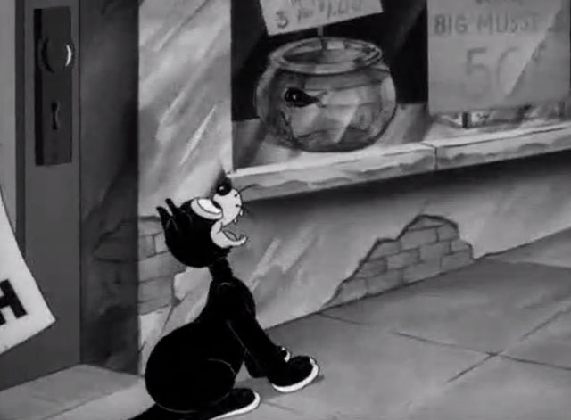Porky's Poor Fish - cartoon black cat sees fish in bowl in window