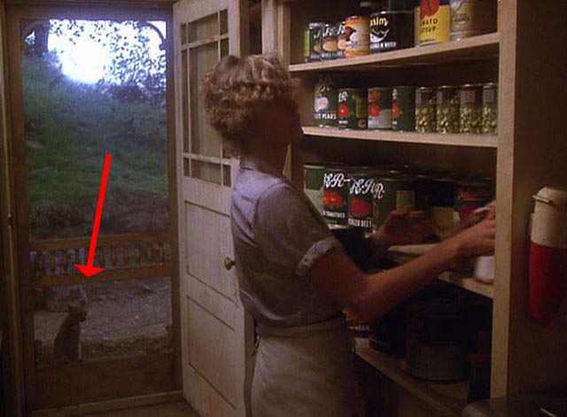 The Postman Always Rings Twice 1981 - orange tabby cat outside screen door looking in at Cora Jessica Lange