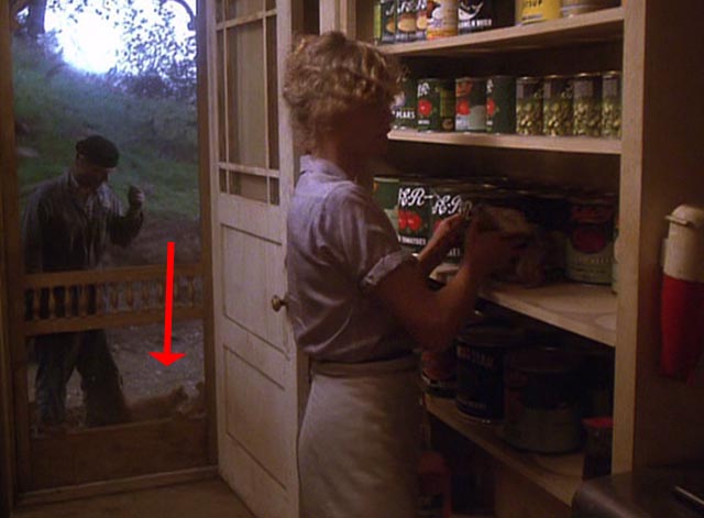 The Postman Always Rings Twice 1981 - orange tabby cat outside screen door and Frank Jack Nicholson looking in at Cora Jessica Lange