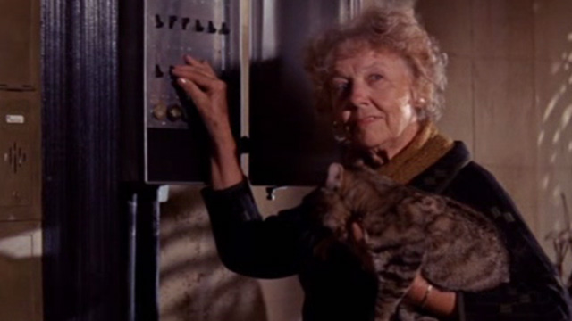 The Power - woman holding tabby cat at fuse box