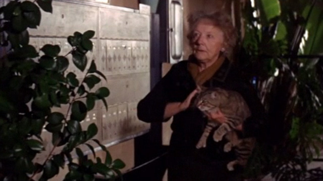 The Power - woman holding tabby cat