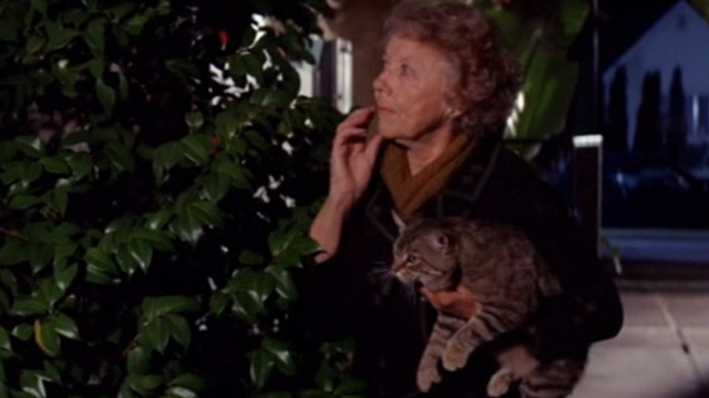 The Power - curious woman holding tabby cat